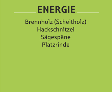 Elektronisch gesteuerten Holz Trockenkammer